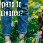 What Happens to Pets in a Divorce?
